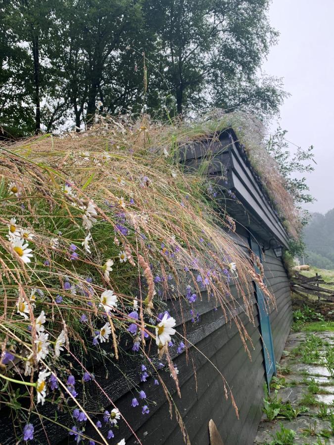 Voss/Bolstad: Peaceful Countryside Cabin/Lodge Bolstadoyri ภายนอก รูปภาพ
